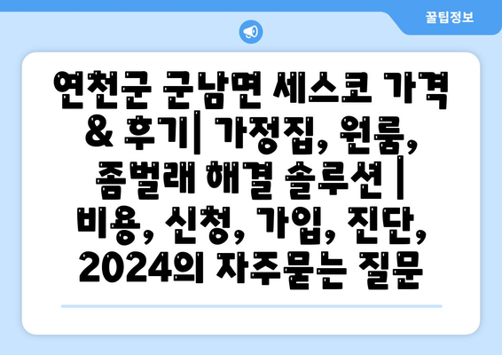 연천군 군남면 세스코 가격 & 후기| 가정집, 원룸, 좀벌래 해결 솔루션 | 비용, 신청, 가입, 진단, 2024