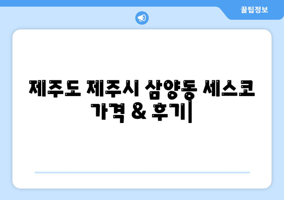 제주도 제주시 삼양동 세스코 가격 & 후기| 가정집, 원룸, 좀벌래 해결 솔루션 | 2024 최신 정보