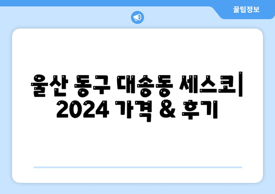 울산 동구 대송동 세스코 가격 & 후기| 가정집, 원룸, 좀벌레 해결 솔루션 | 2024 비용, 신청, 가입, 진단