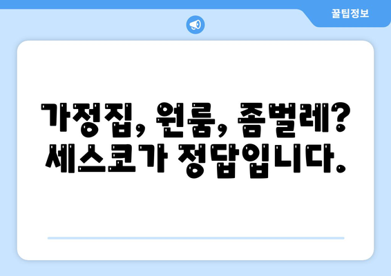 대구 달서구 신당동 세스코 가격 & 후기| 가정집, 원룸, 좀벌래 해결 솔루션 | 2024 비용, 신청, 가입, 진단