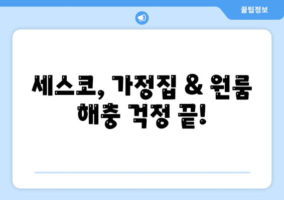 인천 강화읍 세스코 가격 & 후기| 가정집, 원룸, 좀벌레 해결 솔루션 | 2024 비용, 신청, 가입, 진단