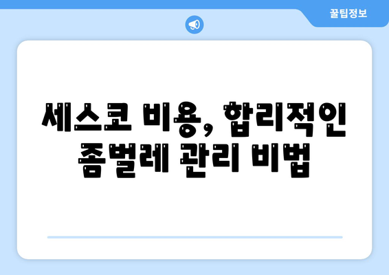 함안 가야읍 세스코 가격 & 후기| 2024년 가정집/원룸 좀벌레 해결 솔루션 | 비용, 신청, 가입, 진단