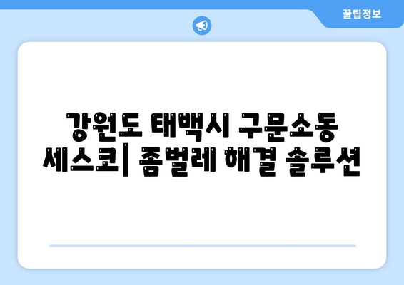 강원도 태백시 구문소동 세스코 가격 & 후기| 2024년 집, 원룸, 좀벌레 해결 솔루션 | 비용, 가입, 신청, 진단