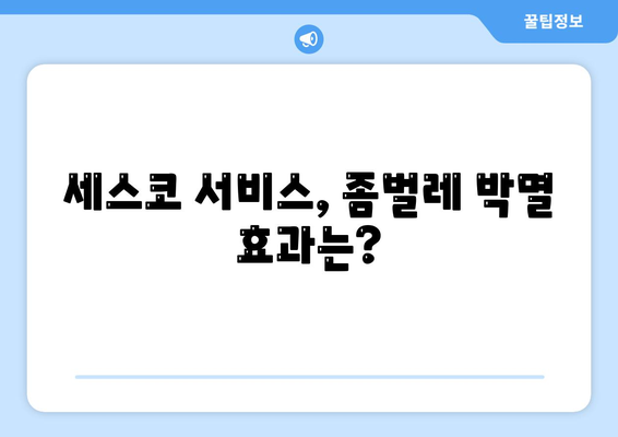 청주 서원구 성화동 세스코 가격 & 후기| 가정집, 원룸, 좀벌레 해결 솔루션 | 2024 최신 정보