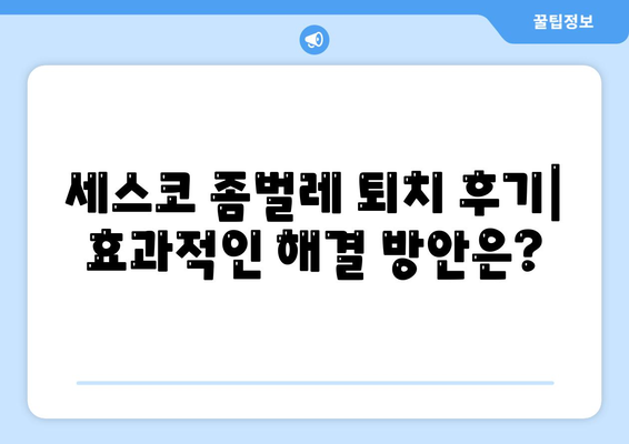 전라남도 장성군 황룡면 세스코 가격 & 후기| 2024년 가정집, 원룸 좀벌레 해결 가이드 | 비용, 신청, 가입, 진단