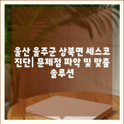 울산 울주군 상북면 세스코 가격 & 후기| 가정집, 원룸, 좀벌래 해결 솔루션 | 비용, 신청, 가입, 진단 2024