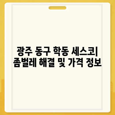 광주 동구 학동 세스코 가격 & 후기| 가정집, 원룸, 좀벌레 해결 솔루션 | 비용, 신청, 가입, 진단 2024