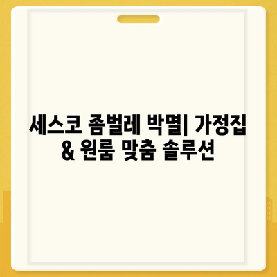 광주 서구 금호2동 세스코 가격 & 후기| 좀벌레 해결, 가정집/원룸 맞춤 솔루션 | 비용, 신청, 가입, 진단 2024