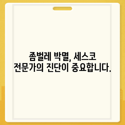 제주도 서귀포시 대정읍 세스코 가격 & 후기| 가정집, 원룸, 좀벌레 해결 가이드 | 비용, 신청, 가입, 진단 2024