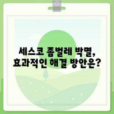 칠곡군 기산면 세스코 가격 & 후기| 2024년 가정집/원룸 비용 & 후기 총정리 | 좀벌레 해결, 신청 가이드