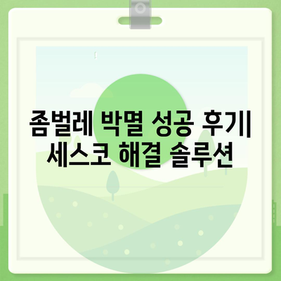 대구 달서구 월성2동 세스코 가격 & 후기| 가정집, 원룸, 좀벌레 해결 솔루션 | 2024 최신 정보