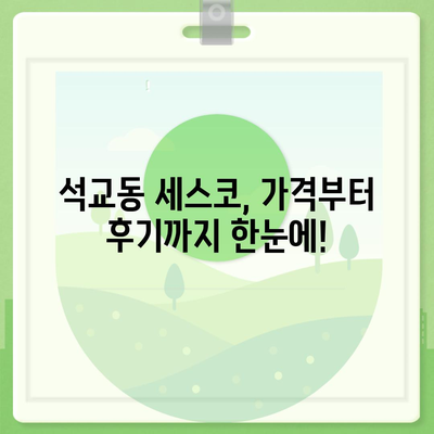 대전시 중구 석교동 세스코 가격 & 후기| 가정집, 원룸, 좀벌레까지! | 비용, 신청, 가입, 진단 2024