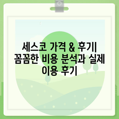 전라남도 영암군 미암면 세스코 가격 & 후기| 가정집, 원룸, 좀벌레 해결 솔루션 | 2024 최신 정보 | 비용, 신청, 가입, 진단