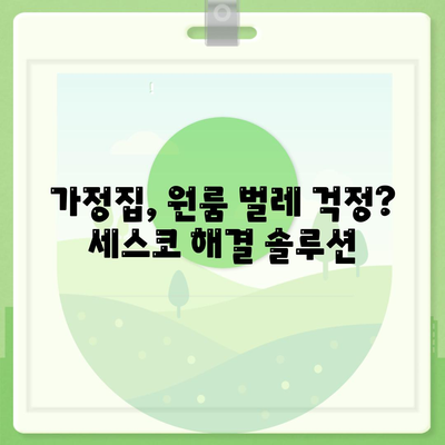 제주도 제주시 노형동 세스코 가격 & 후기| 가정집, 원룸, 좀벌래 해결 솔루션 | 비용, 신청, 가입, 진단 2024