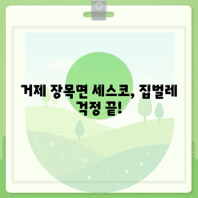 거제 장목면 세스코 가격 & 후기| 가정집, 원룸, 좀벌래 해결 솔루션 | 비용, 신청, 가입, 진단 2024