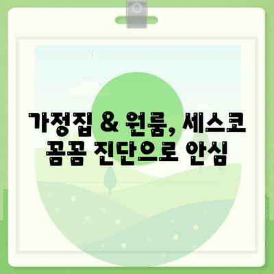 대구 북구 복현2동 세스코 가격 & 후기| 좀벌레, 가정집, 원룸, 2024 최신 정보 | 비용, 신청, 가입, 진단