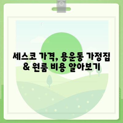 대전 동구 용운동 세스코 가격 & 후기| 가정집, 원룸, 좀벌레 해결 솔루션 | 비용, 신청, 가입, 진단 2024