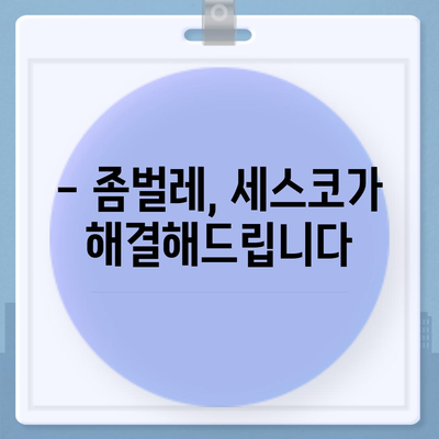 세종시 아름동 세스코 가격 & 후기| 가정집, 원룸, 좀벌레 해결 솔루션 | 2024 최신 정보