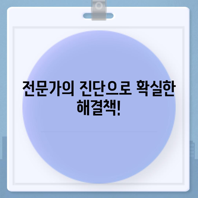 서울 서초구 반포2동 세스코 가격 & 후기| 가정집, 원룸, 좀벌래 해결 솔루션 | 비용, 신청, 가입, 진단, 2024