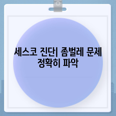 서산 동문2동 세스코 가격 & 후기| 가정집, 원룸, 좀벌레 해결 방안 | 비용, 신청, 가입, 진단 2024