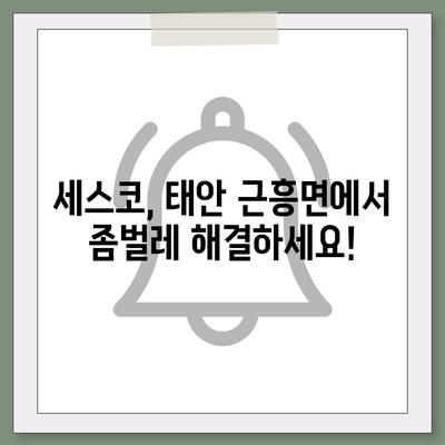 충청남도 태안군 근흥면 세스코 가격 & 후기| 가정집, 원룸, 좀벌레 해결 솔루션 | 비용, 신청, 가입, 진단 2024