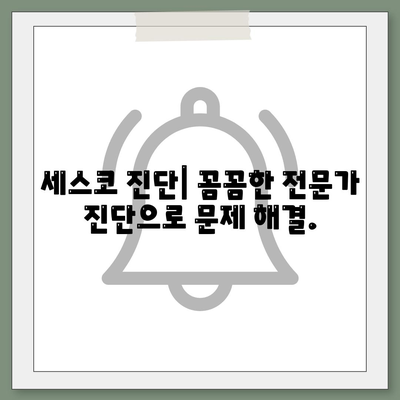 서울 성북구 길음2동 세스코 가격 & 후기| 가정집, 원룸, 좀벌래 해결 솔루션 | 비용, 신청, 가입, 진단 2024