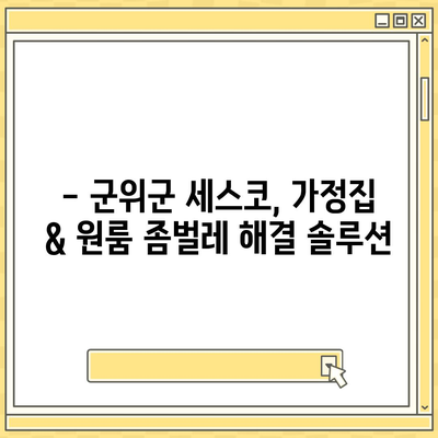 군위군 세스코 가격 & 후기| 가정집, 원룸, 좀벌래 해결 솔루션 | 2024 비용, 신청, 가입, 진단