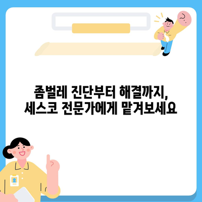 논산 채운면 세스코 가격 & 후기| 가정집, 원룸, 좀벌레 해결 솔루션 | 2024 비용, 신청, 가입, 진단