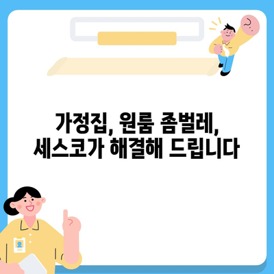 세종시 부강면 세스코 가격 & 후기| 가정집, 원룸, 좀벌래 해결 솔루션 | 2024 최신 정보