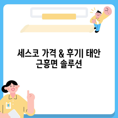 충청남도 태안군 근흥면 세스코 가격 & 후기| 가정집, 원룸, 좀벌레 해결 솔루션 | 비용, 신청, 가입, 진단 2024