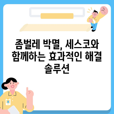 울산 중구 학성동 세스코 가격 & 후기| 가정집, 원룸, 좀벌레 해결 솔루션 | 비용, 신청, 가입, 진단 2024