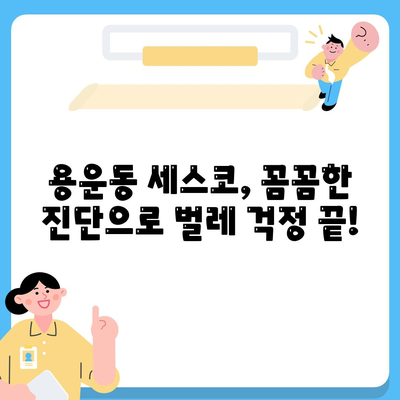 대전 동구 용운동 세스코 가격 & 후기| 가정집, 원룸, 좀벌레 해결 솔루션 | 비용, 신청, 가입, 진단 2024