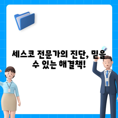 충청남도 청양군 남양면 세스코 가격 & 후기| 가정집, 원룸, 좀벌레까지! | 비용, 신청, 가입, 진단 2024