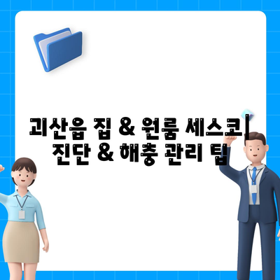 괴산읍 세스코 가격 & 후기| 가정집, 원룸, 좀벌레 해결 솔루션 | 2024 비용, 신청, 가입, 진단 정보