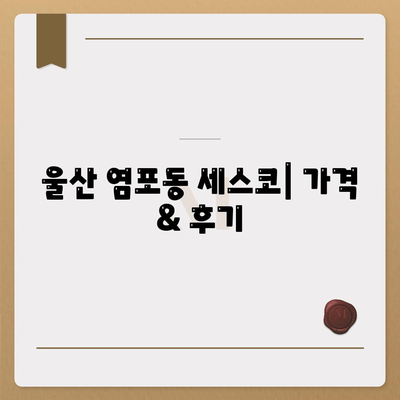 울산 염포동 세스코 가격 & 후기| 가정집, 원룸, 좀벌레 해결 솔루션 | 비용, 신청, 가입, 진단 2024