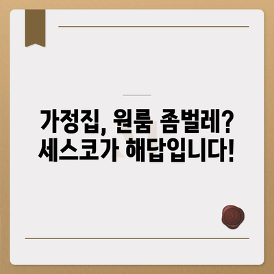 제주도 제주시 일도2동 세스코 가격 & 후기| 가정집, 원룸, 좀벌래 해결 솔루션 | 비용, 신청, 가입, 진단 2024