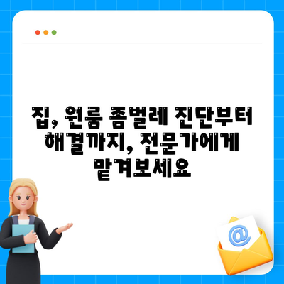 전라남도 장성군 황룡면 세스코 가격 & 후기| 2024년 가정집, 원룸 좀벌레 해결 가이드 | 비용, 신청, 가입, 진단