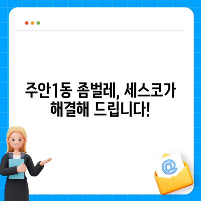 인천 미추홀구 주안1동 세스코 가격 & 후기| 가정집, 원룸 좀벌레 해결 솔루션 | 비용, 신청, 가입, 진단 2024