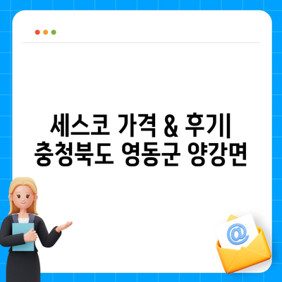 충청북도 영동군 양강면 세스코 가격 & 후기| 2024년 가정집, 원룸 비용 정보 | 좀벌레 해결, 신청 & 가입 가이드