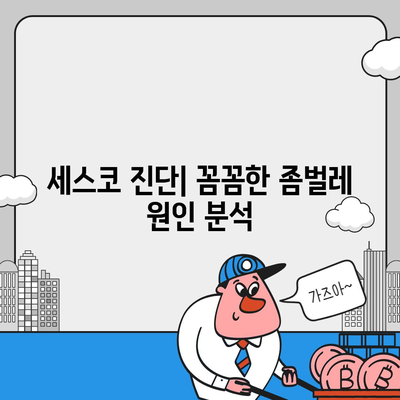 영주시 부석면 세스코 가격 & 후기| 가정집, 원룸, 좀벌래 해결 솔루션 | 비용, 신청, 가입, 진단 2024