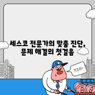 부산 서대신3동 세스코 가격 & 후기 | 2024년 가정집/원룸 비용, 좀벌레 해결 솔루션 | 세스코 신청, 가입, 진단