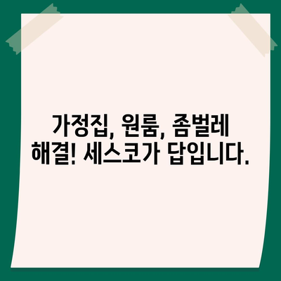 전라북도 임실군 성수면 세스코 가격 & 후기| 가정집, 원룸, 좀벌레 해결 솔루션 | 2024 최신 정보