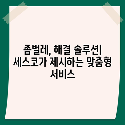 부산 남구 용호1동 세스코 가격 & 후기| 가정집, 원룸, 좀벌레 해결 솔루션 | 비용, 신청, 가입, 진단 2024