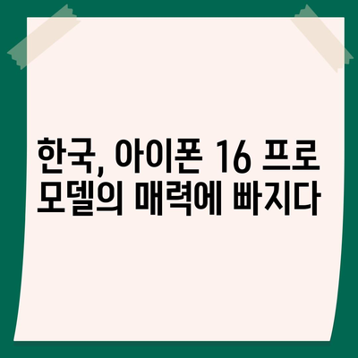 아이폰 16 한국 1차 출시국 확정, 프로 모델 디스플레이 확장