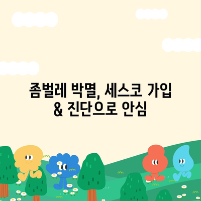 제주도 추자면 세스코 가격 & 후기| 가정집, 원룸, 좀벌레 해결 솔루션 | 비용, 신청, 가입, 진단 2024