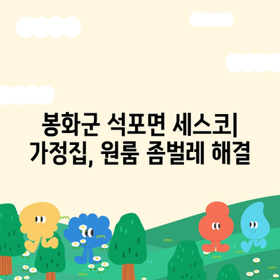 봉화군 석포면 세스코 가격 & 후기| 가정집, 원룸, 좀벌래 해결 솔루션 | 비용, 신청, 가입, 진단 2024