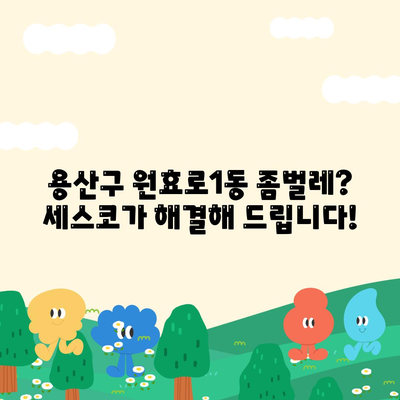 서울 용산구 원효로1동 세스코 가격 & 후기| 좀벌레, 가정집, 원룸, 가입, 신청 | 2024 최신 정보