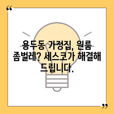 대전 중구 용두동 세스코 가격 & 후기| 가정집, 원룸, 좀벌레 해결 솔루션 | 비용, 신청, 가입, 진단 2024