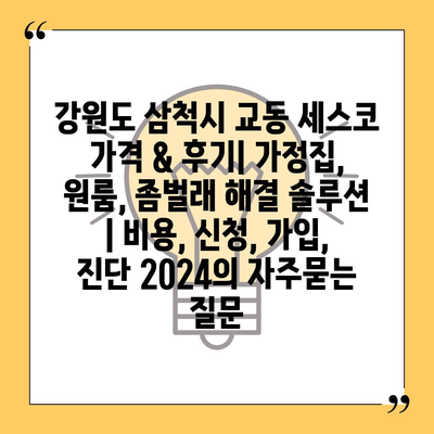 강원도 삼척시 교동 세스코 가격 & 후기| 가정집, 원룸, 좀벌래 해결 솔루션 | 비용, 신청, 가입, 진단 2024