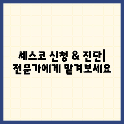 강원도 태백시 구문소동 세스코 가격 & 후기| 2024년 집, 원룸, 좀벌레 해결 솔루션 | 비용, 가입, 신청, 진단